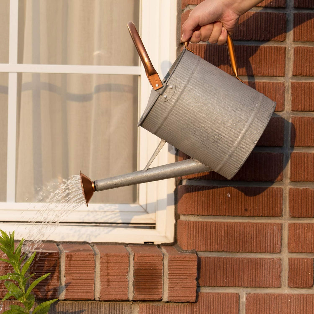 1 Gallon Watering Can, Metal Watering Can with Removable Spout, Farmhouse Galvanzied Water Can, Nice Plant Water Can for Indoor Use and for Outdoor Use