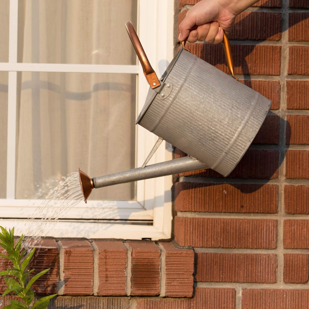1 Gallon Watering Can, Metal Watering Can with Removable Spout, Farmhouse Galvanzied Water Can, Nice Plant Water Can for Indoor Use and for Outdoor Use