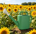 Watering Can 2 Gallon for Indoor Plants, Garden, Outdoor Plant House Flower