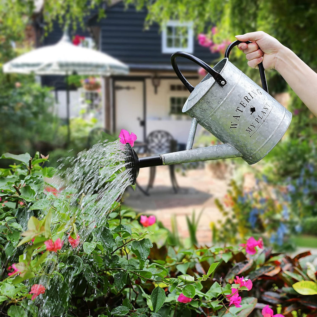 Garutom Galvanized Watering Can for Outdoor Indoor Plants, 1 Gallon Decorative Countryside Style Water Can with Removable Spout, Perfect Metal Watering Can for Indoor Plants and Garden Flower