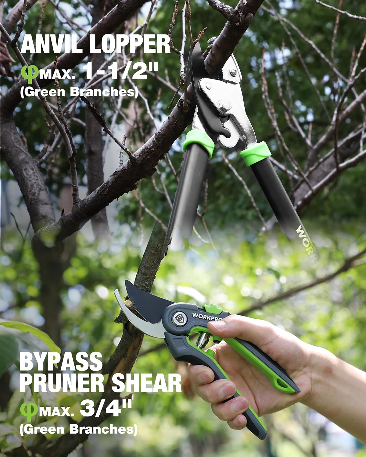 WORKPRO 3-Piece Garden Shears Set, Heavy-Duty Gardening Clippers