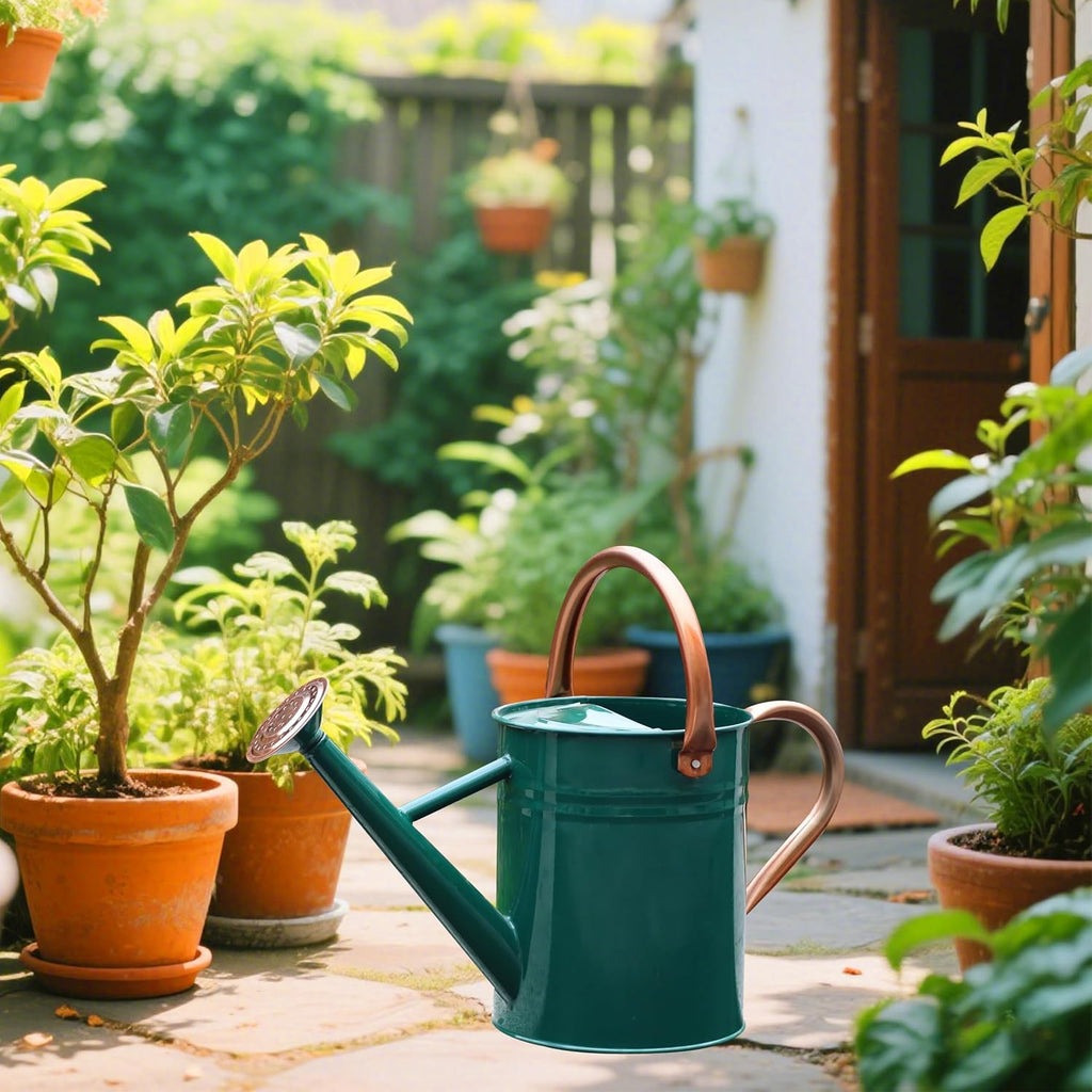 Metal Watering Can for Outdoor Plants, Watering Can 1 Gallon (NewGreen)