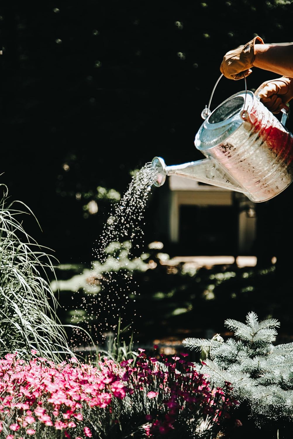 Behrens 2.5 Gallon Hot Dipped Steel Watering Can