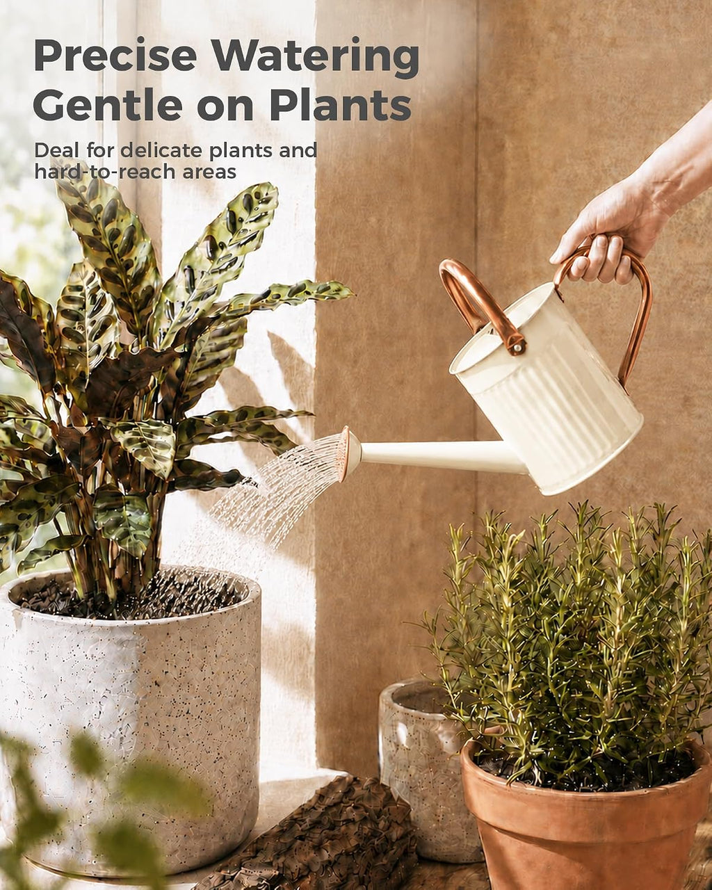 Bamworld Metal Watering Can for Indoor Outdoor Plant 1/2 Gallon Creamy