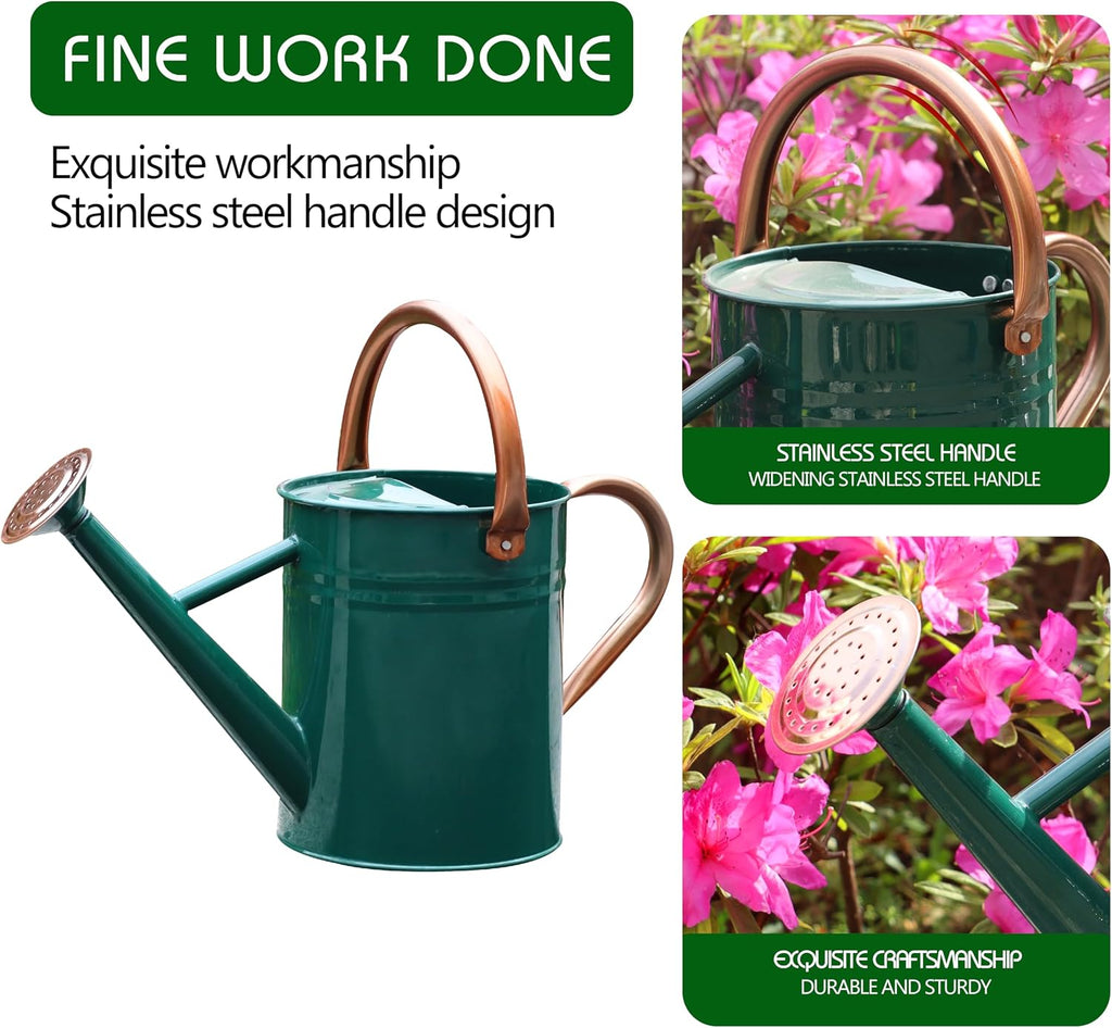 Metal Watering Can for Outdoor Plants, Watering Can 1 Gallon (NewGreen)