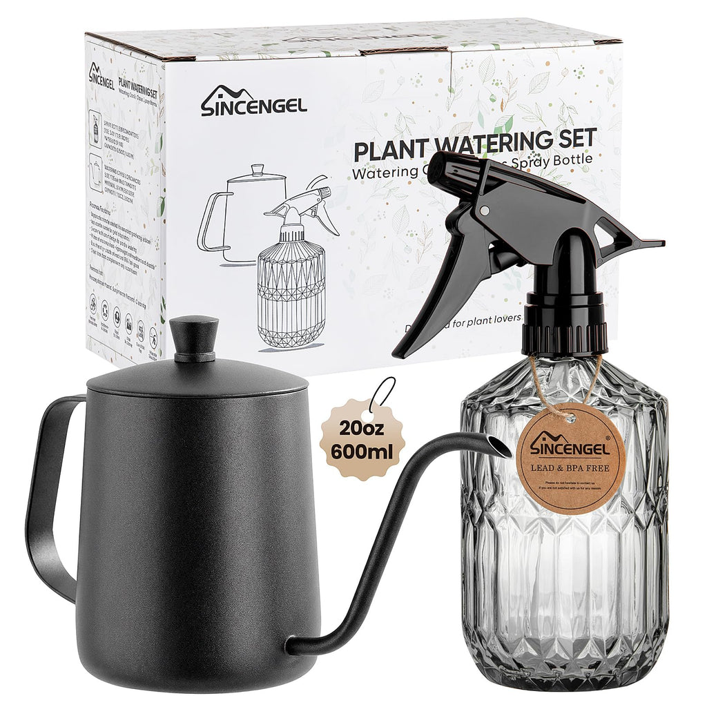 Watering Can for Indoor Plants, 20 oz Metal Small Plant Watering Can with Long Spout for House Plants, 13.5 oz Glass Plant Mister Spray Bottle for Bonsai Garden Flowers Decorative (Green)