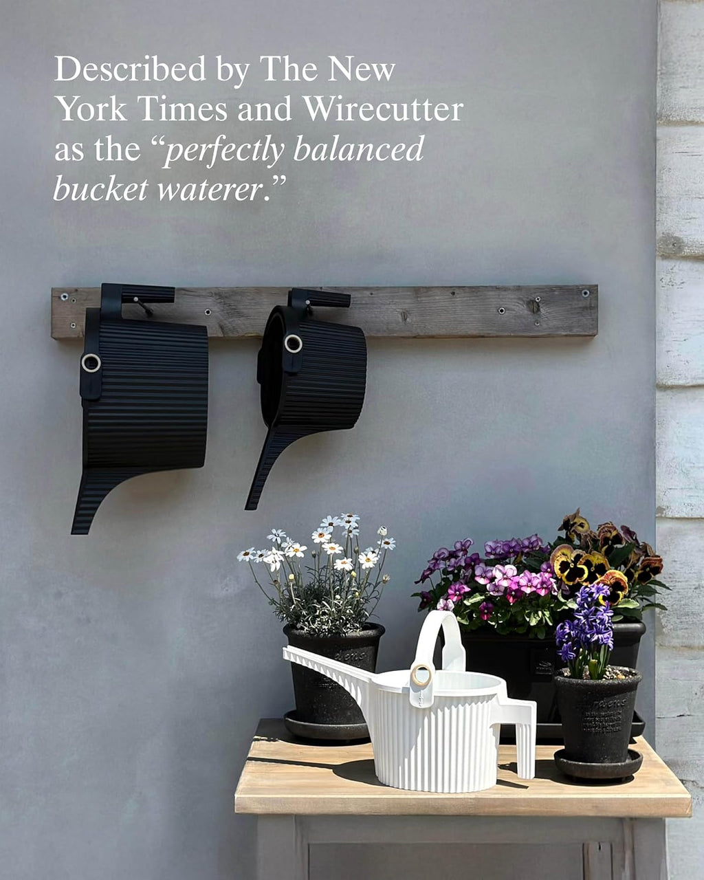 Large Watering Can with Widened Spout