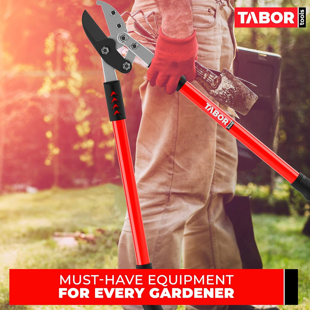 TABOR TOOLS GG12A Anvil Lopper with Compound Action, 30 Inch Tree Trimmer & Branch Cutter, Heavy Duty Tree Pruner with 2 Inch Cut Capacity, Chops Thick Dry Branches with Ease
