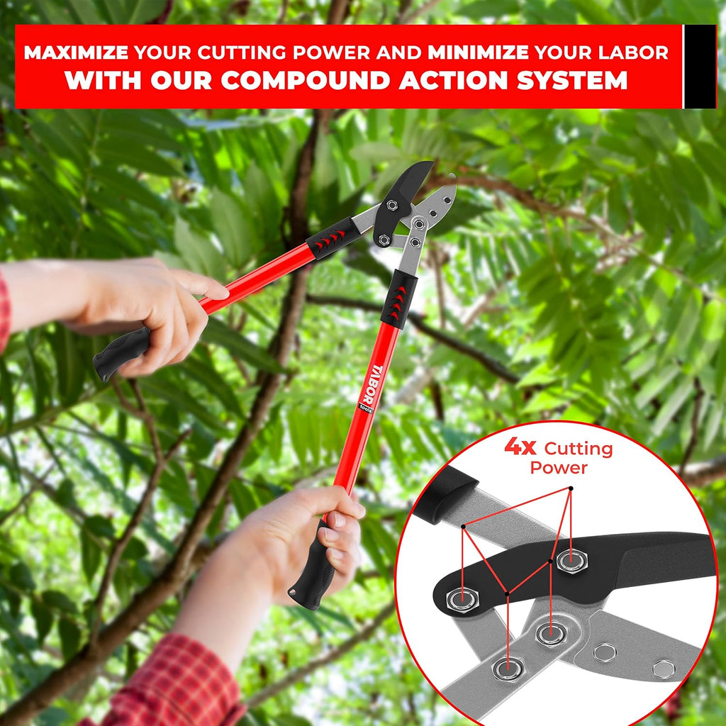 TABOR TOOLS GG12A Anvil Lopper with Compound Action, 30 Inch Tree Trimmer & Branch Cutter, Heavy Duty Tree Pruner with 2 Inch Cut Capacity, Chops Thick Dry Branches with Ease