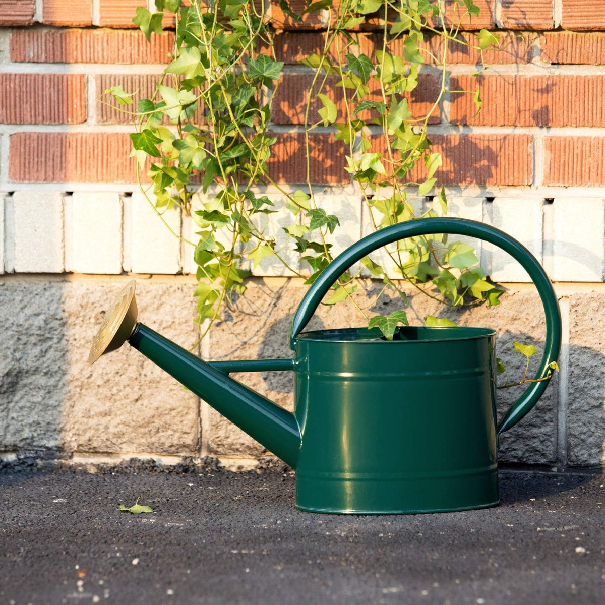 1 Gallon Watering Can, Metal Watering Can with Removable Spout, Farmhouse Galvanzied Water Can, Nice Plant Water Can for Indoor Use and for Outdoor Use