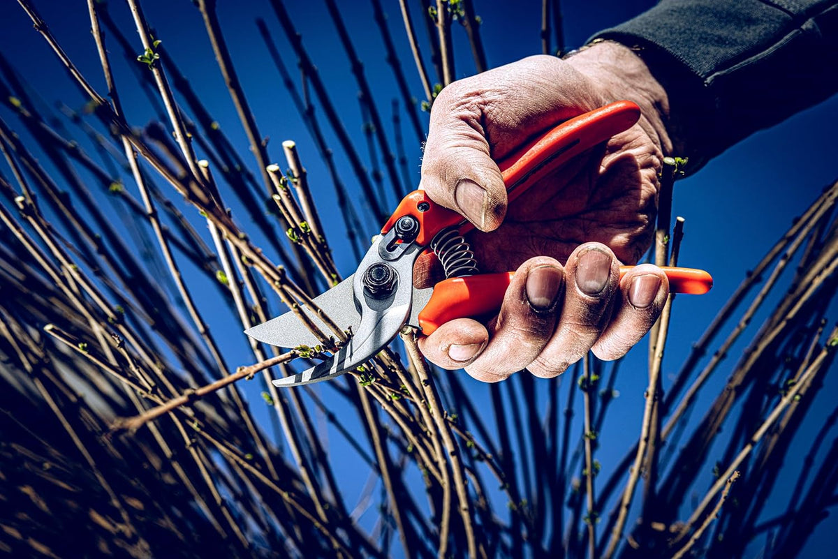 Original LÖWE Bypass Pruner Garden Tools 14.104 | Use as Pruners, Hedge Trimmer, Garden Shears, Pruning Shears for Gardening | For cutting roses, twigs, branches, and cut flowers | Made in Germany