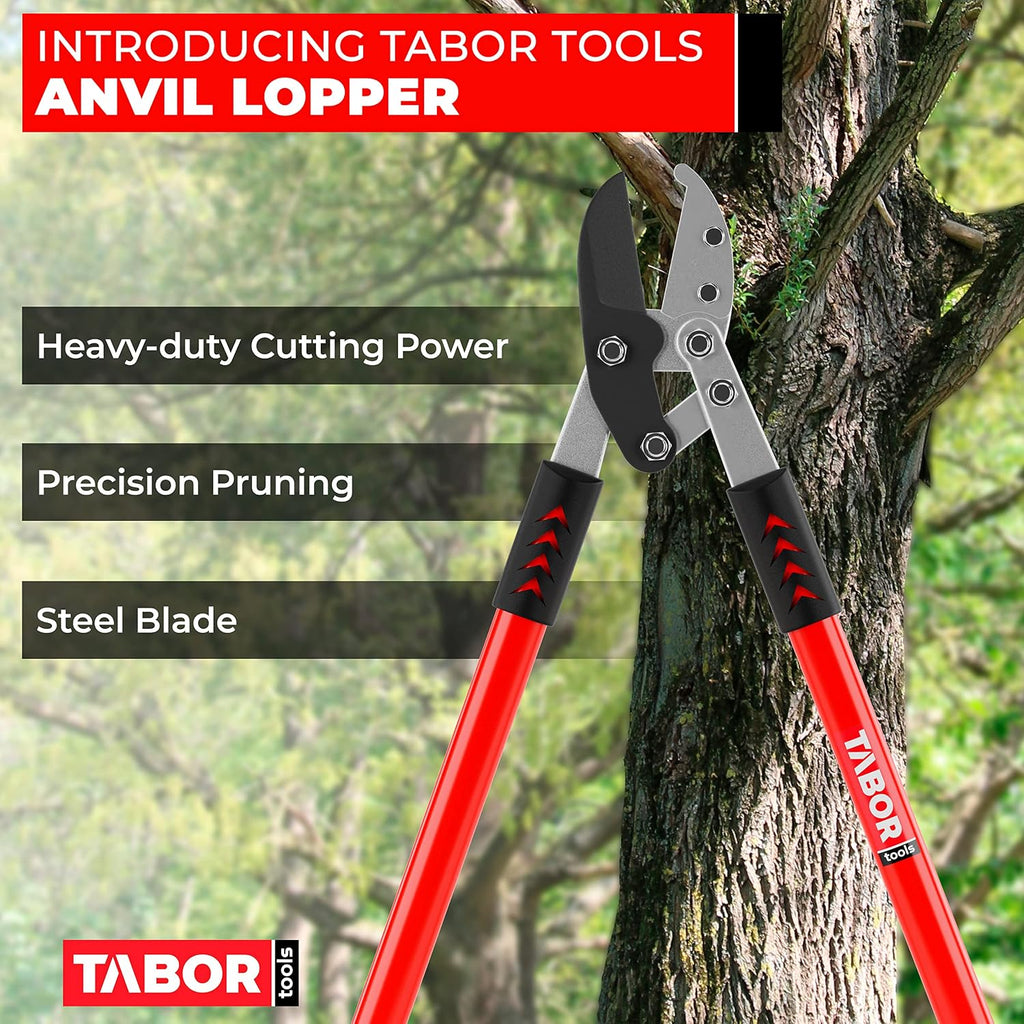 TABOR TOOLS GG12A Anvil Lopper with Compound Action, 30 Inch Tree Trimmer & Branch Cutter, Heavy Duty Tree Pruner with 2 Inch Cut Capacity, Chops Thick Dry Branches with Ease