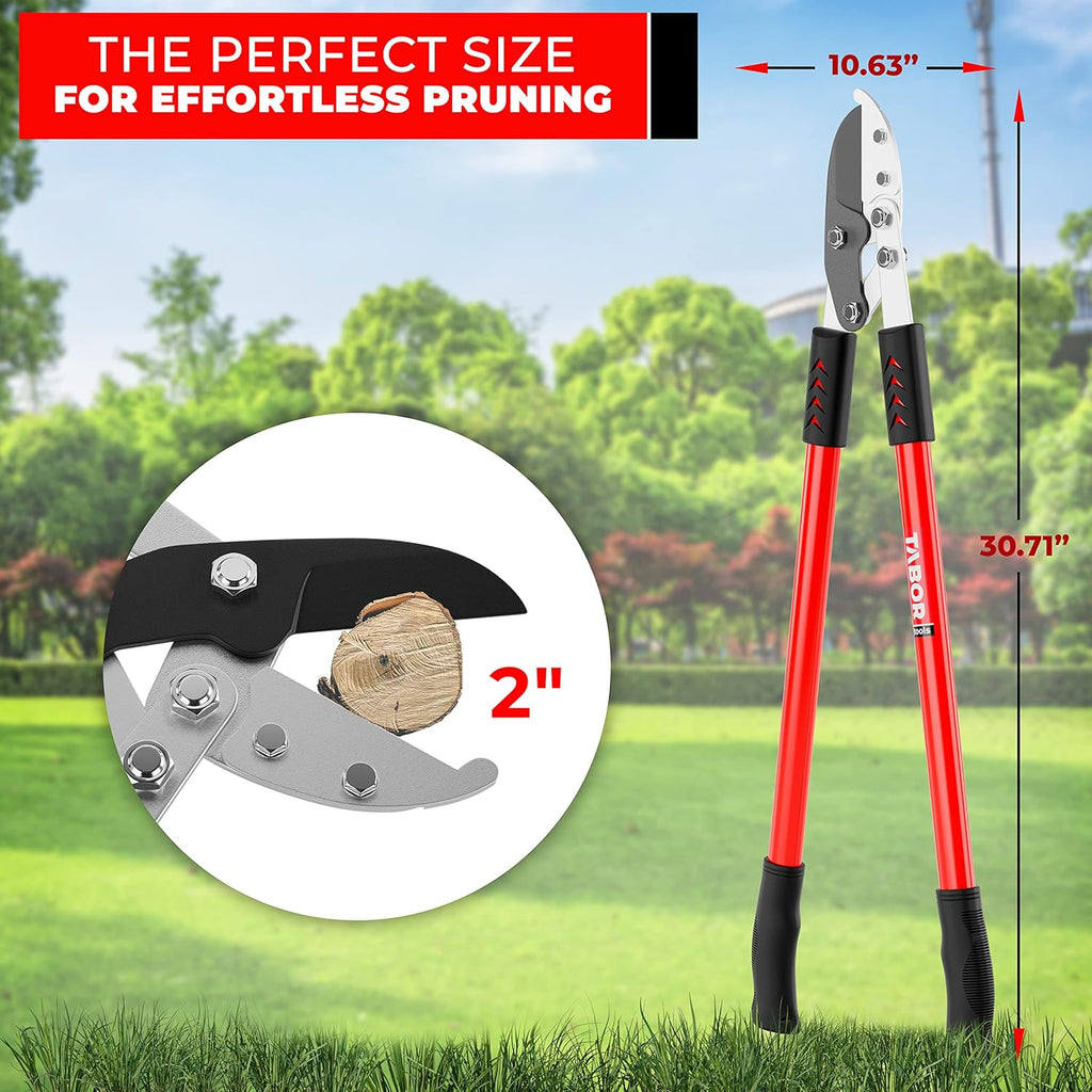 TABOR TOOLS GG12A Anvil Lopper with Compound Action, 30 Inch Tree Trimmer & Branch Cutter, Heavy Duty Tree Pruner with 2 Inch Cut Capacity, Chops Thick Dry Branches with Ease