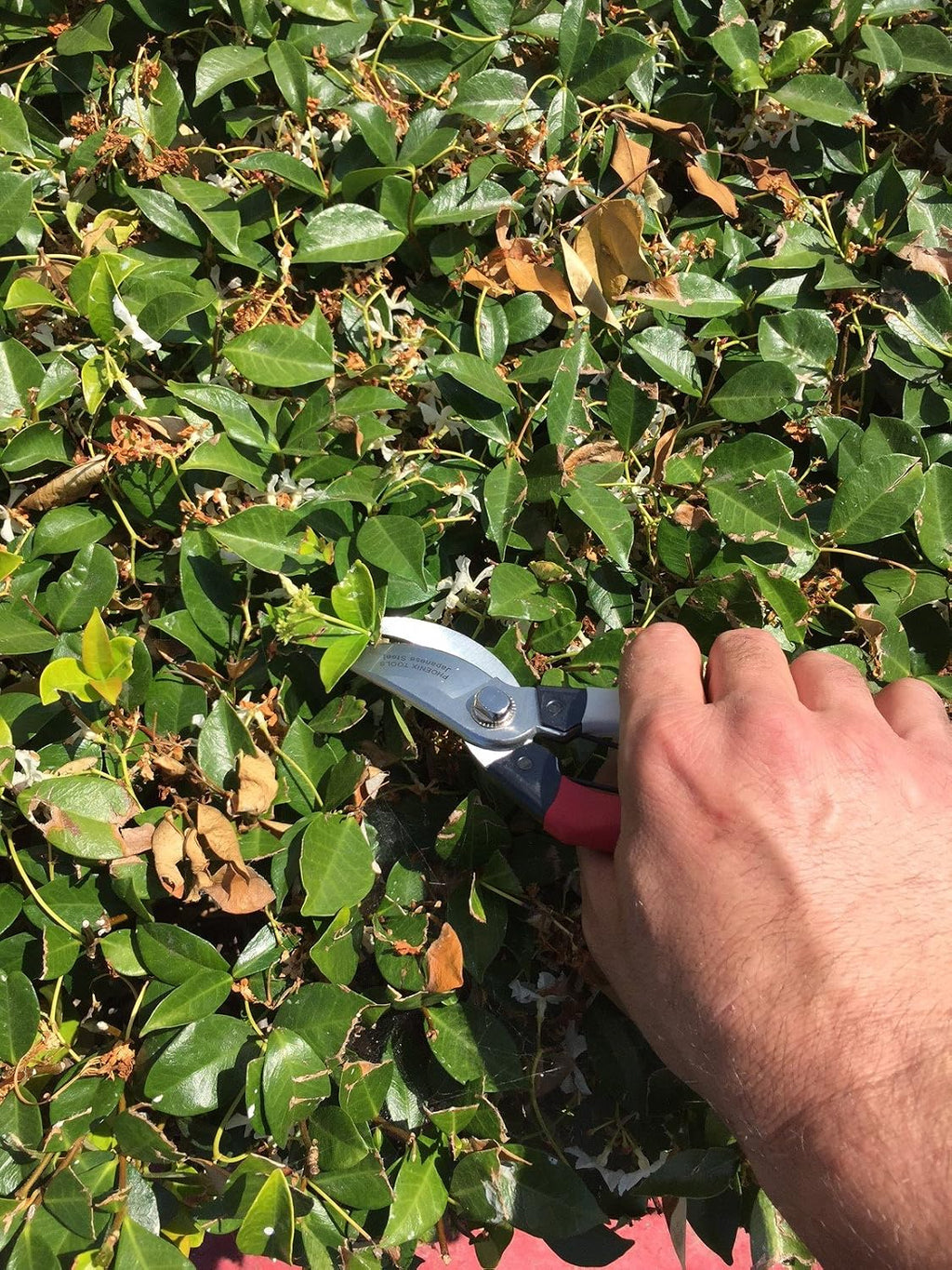 Japanese Steel Hand Pruner, 3/4" Cut, Red/White