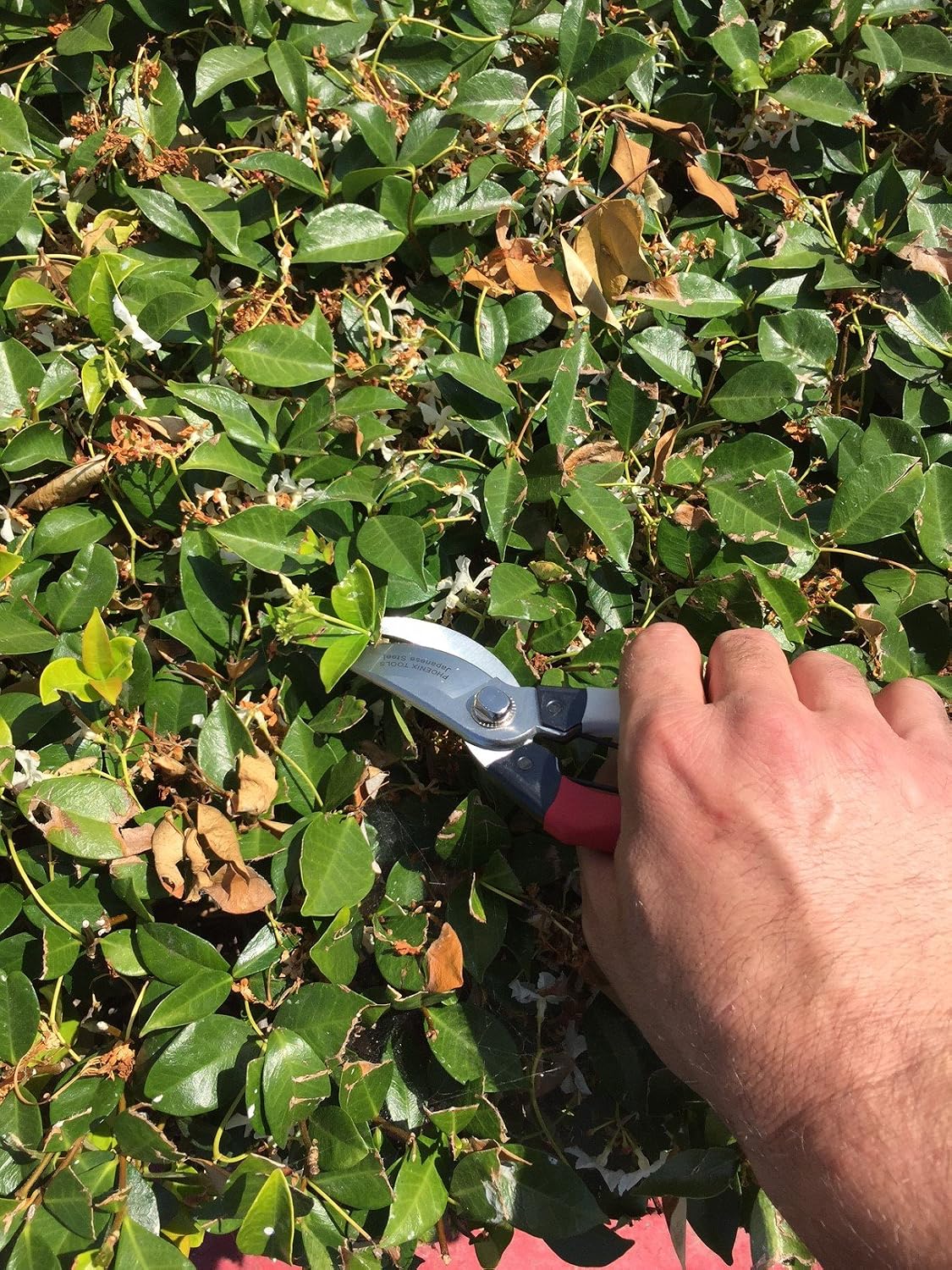 Japanese Steel Hand Pruner, 3/4" Cut, Red/White