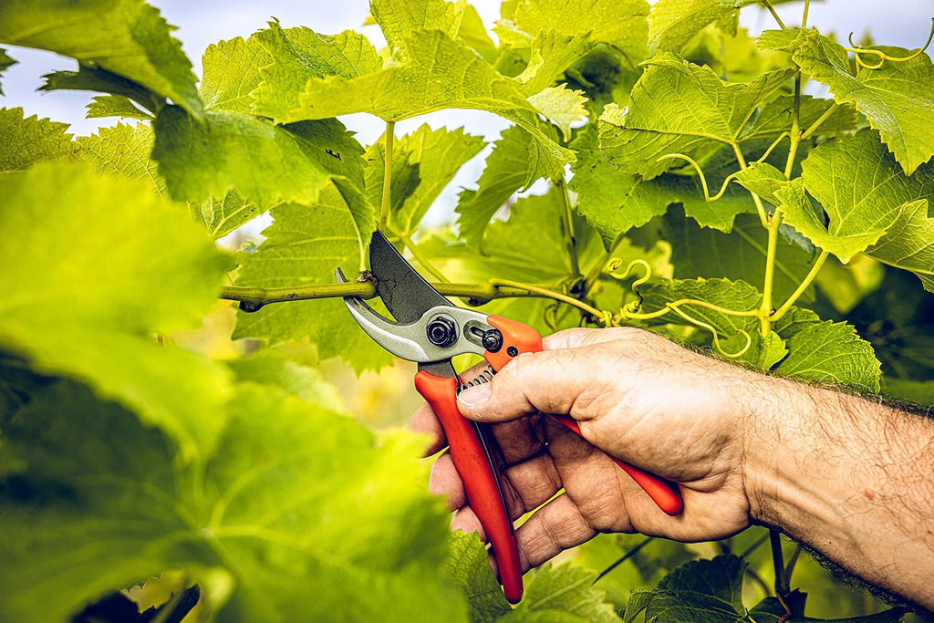 Original LÖWE Bypass Pruner Garden Tools 14.104 | Use as Pruners, Hedge Trimmer, Garden Shears, Pruning Shears for Gardening | For cutting roses, twigs, branches, and cut flowers | Made in Germany